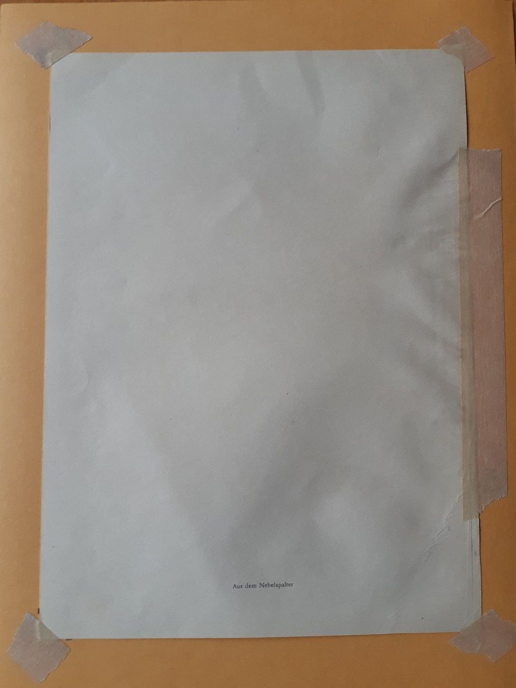 Grafica & Litografie: Nr.5 original Litho Nebelspalter – Usato da Grindelwald venduto da carro5 3