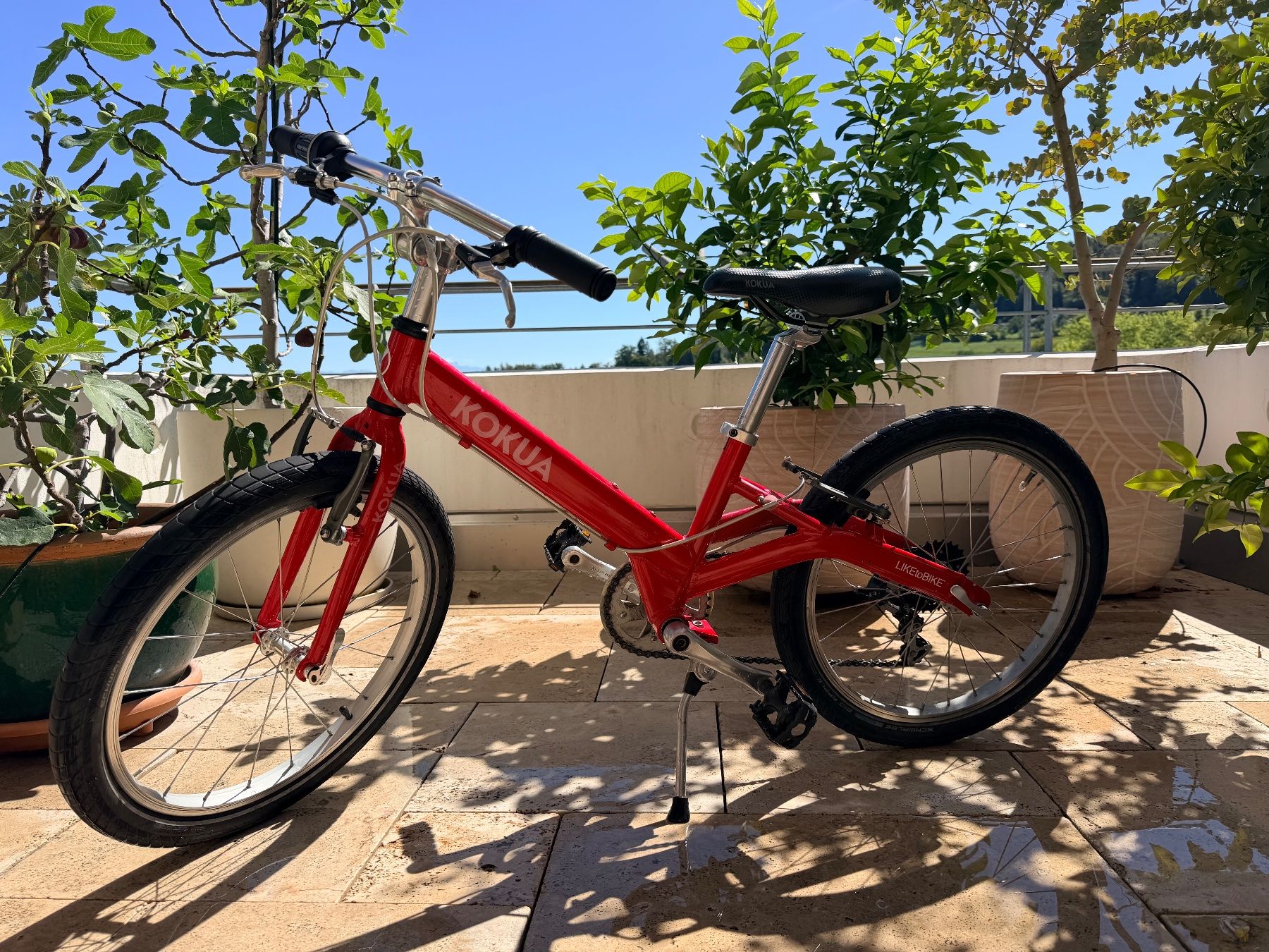 Biciclette: Kindervelo 20" – Usato da Fällanden venduto da Map1234 1