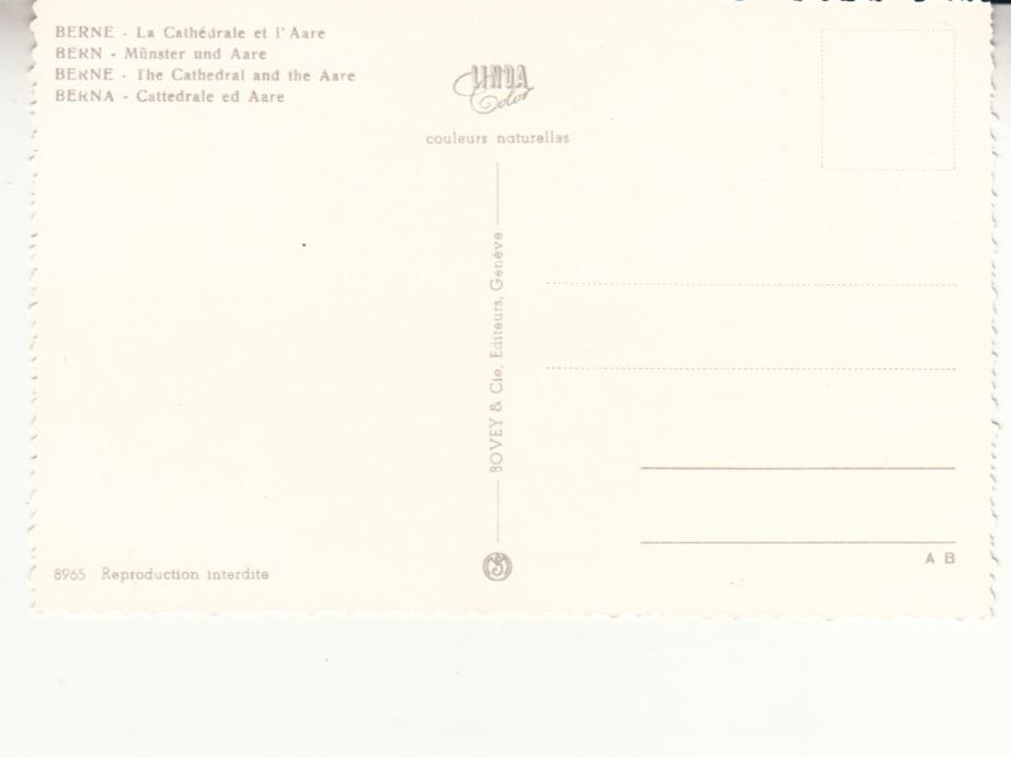 Cartoline postali: Bern Münster und Aare ca. 1960 – Usato da Bürglen TG venduto da StampGraf 1