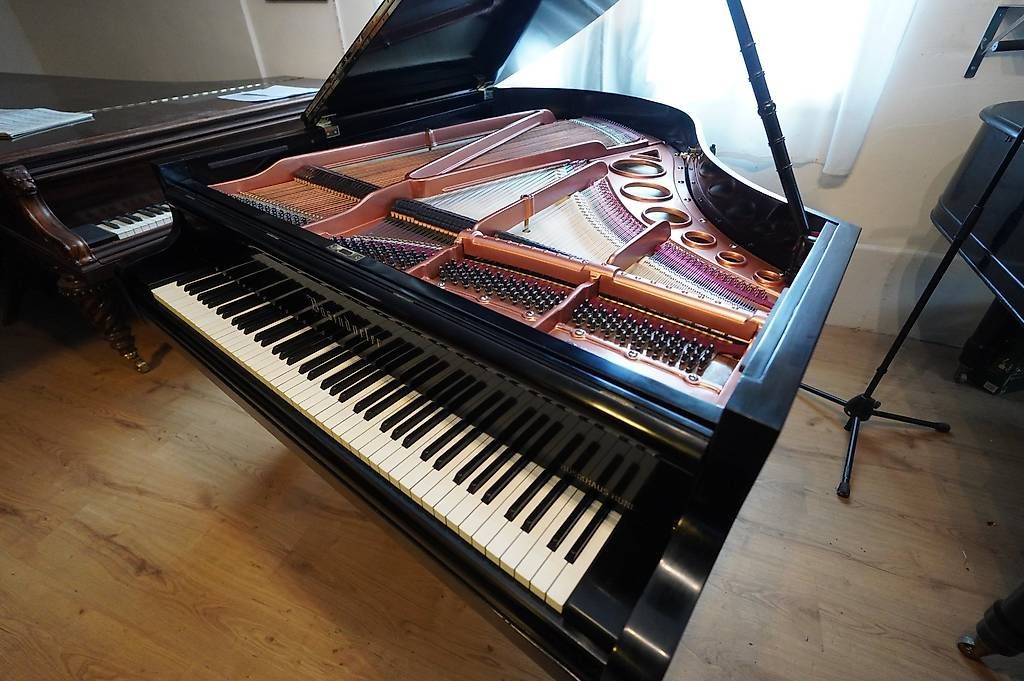 Bösendorfer Strumenti musicali: Flügel Bösendorfer 170 – Usato da Küttigen venduto da PianoSarbach 2