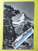 5201 Zermatt, Rifelalp, Matterhorn