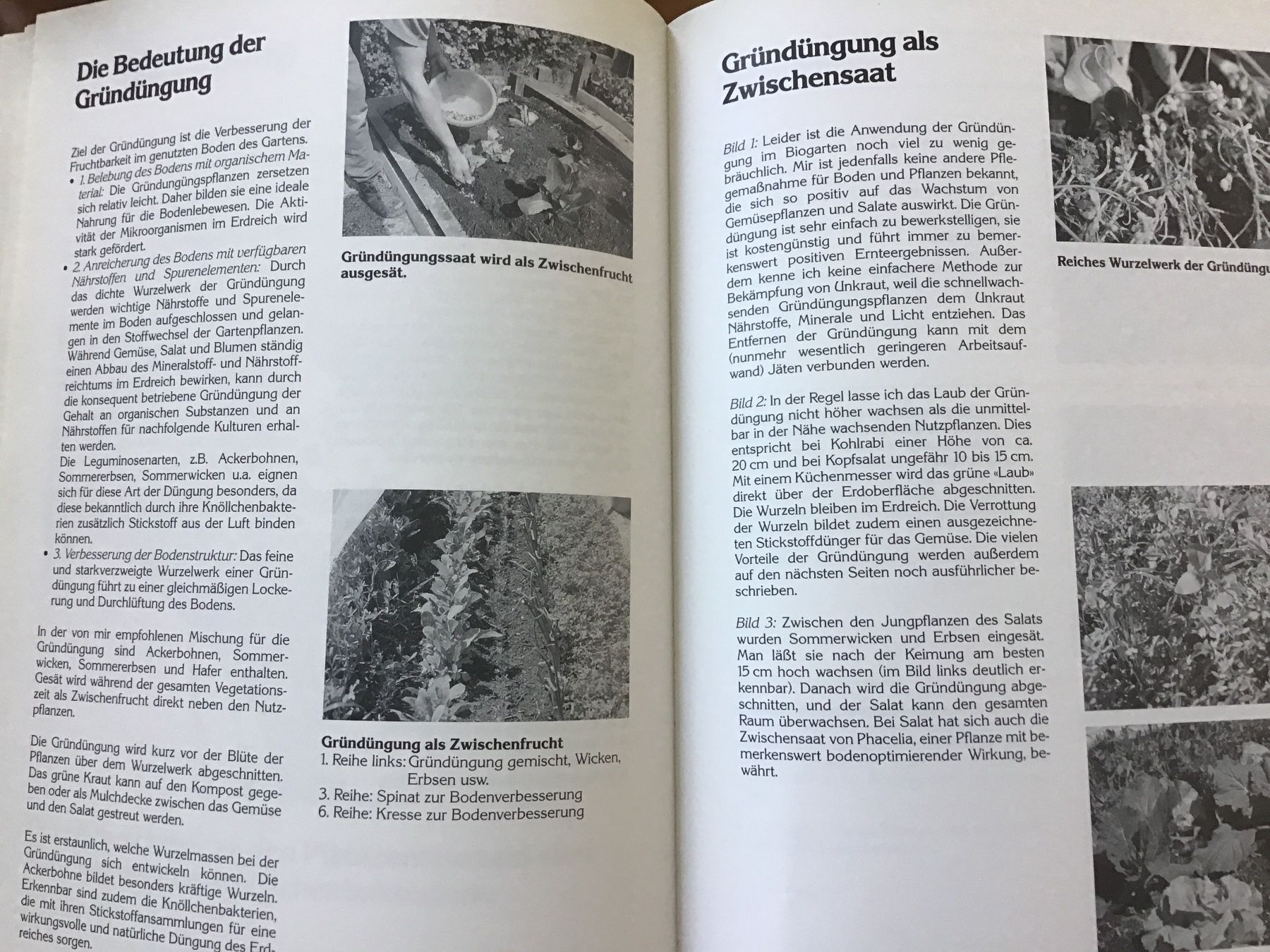 Libri: Freude und Erfolg im Biogarten – Usato da Kirchenthurnen venduto da Gluecksbrief 6