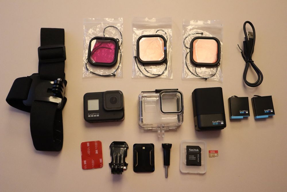 Gopro Hero 8 Black inkl 2 Akkus mit Dual Ladegerät + Zubehör Kaufen auf Ricardo