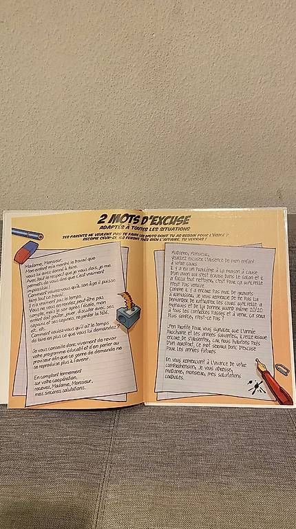 Libri: Le guide junior pour éduquer les profs Gouil Douyé Lai – Usato da Genève venduto da Jakblakjak 4
