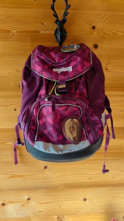 Ergobag Schulrucksack inklusive Sportrucksack - Top Zustand!