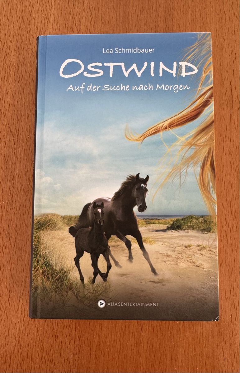 Bücher: 6 Ostwind Bücher – Gebraucht aus Arisdorf von forfamily 4