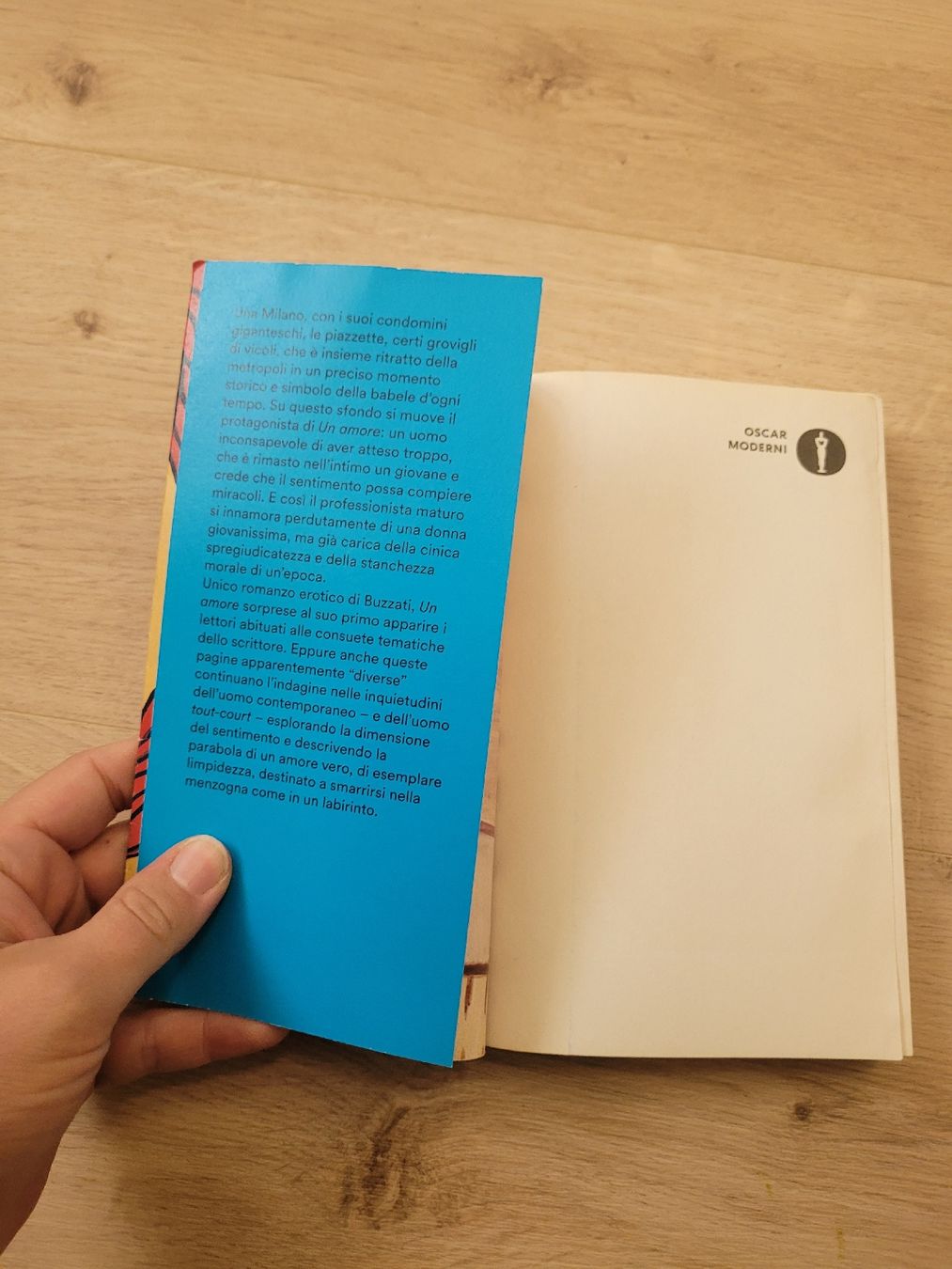 Libri: Buch un Amore von Dino Buzzati – Usato da Lupsingen venduto da sta_wgg5 1