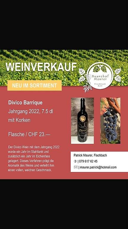 Libri: Wein aus dem Luzerner Hinterland – Usato da Fischbach venduto da Maurer97