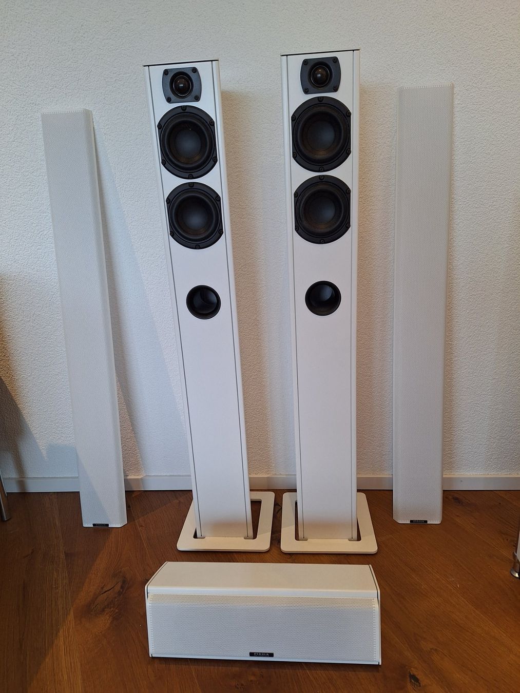 Piega Casse acustiche: Lautsprecher – Usato da Rapperswil SG venduto da Techhobi 1