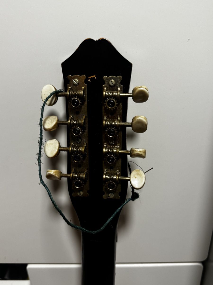 Strumenti musicali: Mandoline Saiteninstrument   – Usato da Schlieren venduto da Eldi84 4