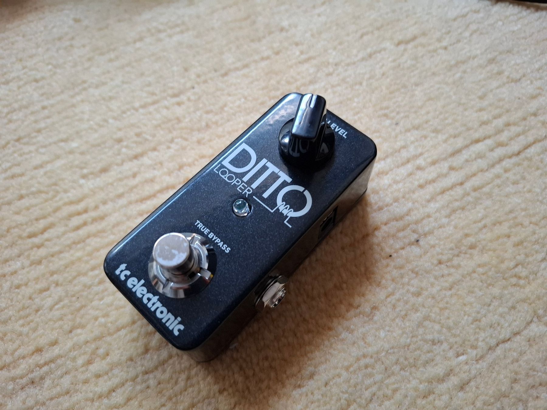 Strumenti musicali: TC Electronic Ditto Looper --- neuf – Nuovo (secondo la descrizione) da Yverdon-les-Bains venduto da Dan00 2