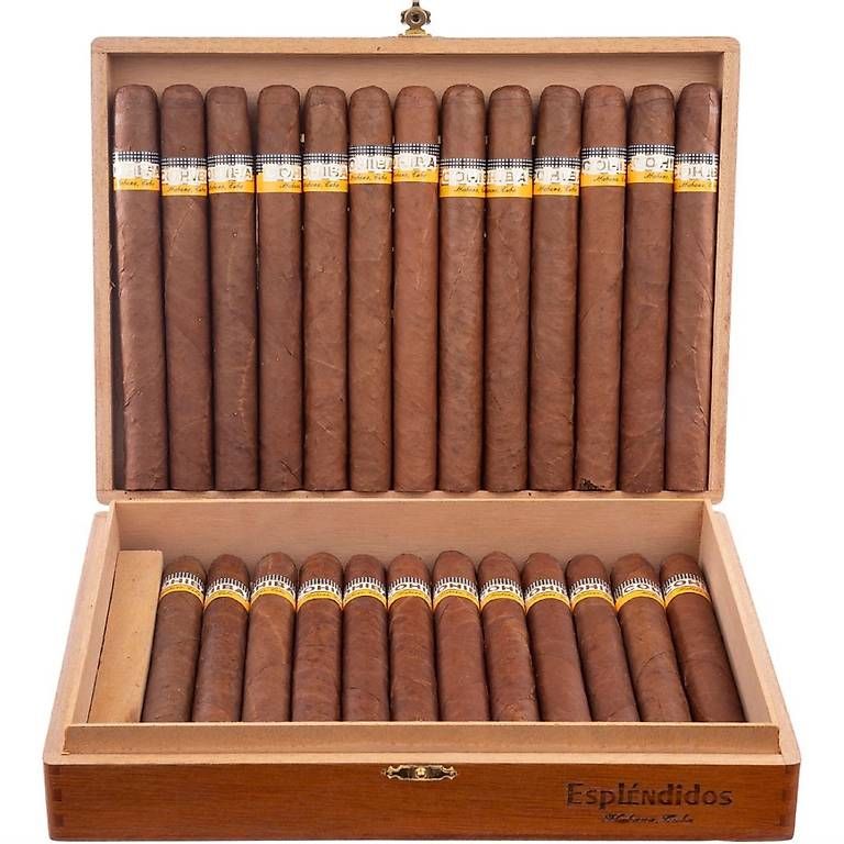 Sigari: Cohiba Esplendido – Usato da Zeiningen venduto da bur_vtl8 1
