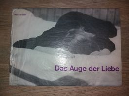 FOTOKLASSIKER Rene Groebli signiert 1954 Auge der Liebe