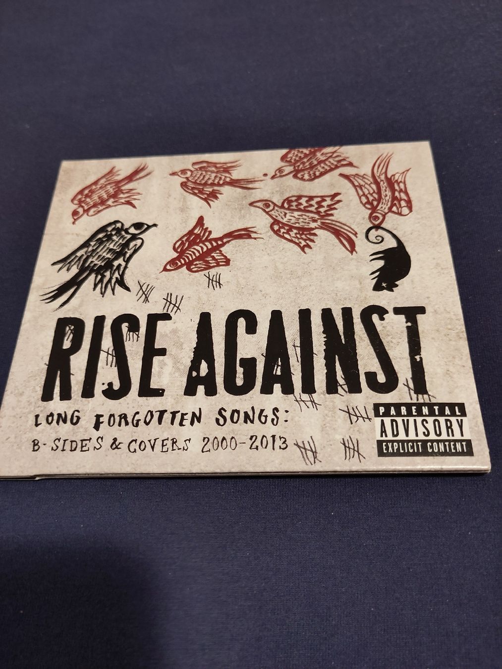 CD: Rise Against - Long forgotten Songs – Usato da Zürich venduto da Heldel