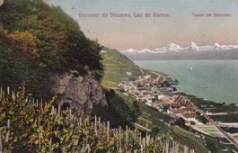 Souvenir de Douanne Lac de Bienne - Twann am Bielersee