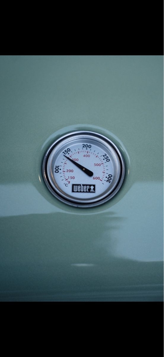 Grills: Weber Lumin Elektrogrill hellgrün neuwertig – Neu (gemäss Beschreibung) aus Winterthur von TropyBanana 2