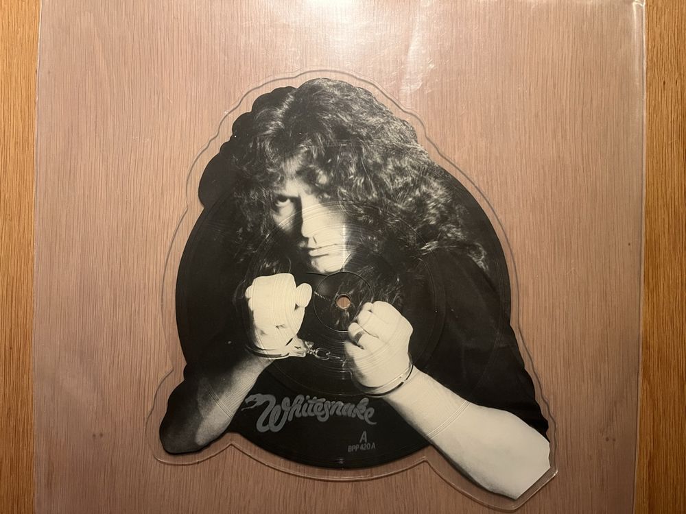 Whitesnake Guilty of Love Picture Disc Vinyl (Gebraucht) in Luzern für ...