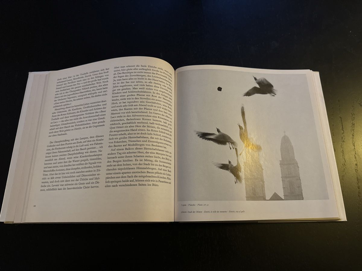 Libri: Zürich – Usato da Erstfeld venduto da Mario_boe0 2