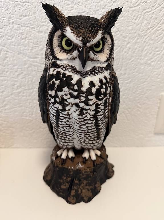 Sculture & Statue: Statue Hibou grande taille – Nuovo (secondo la descrizione) da Ollon VD venduto da reefguard