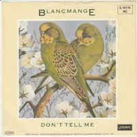 Blancmange - Don't tell me 7" Vinyl 1984