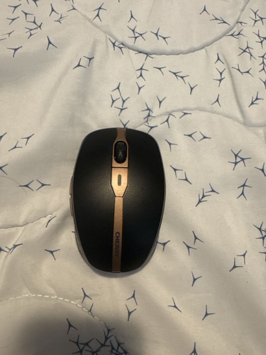 Mouse: Cherry DW 9100 Slim Mouse without Dongle – Usato da Hünenberg venduto da lag_2nxr