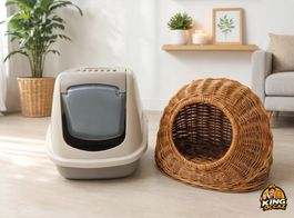 Maison & toilette pour chat