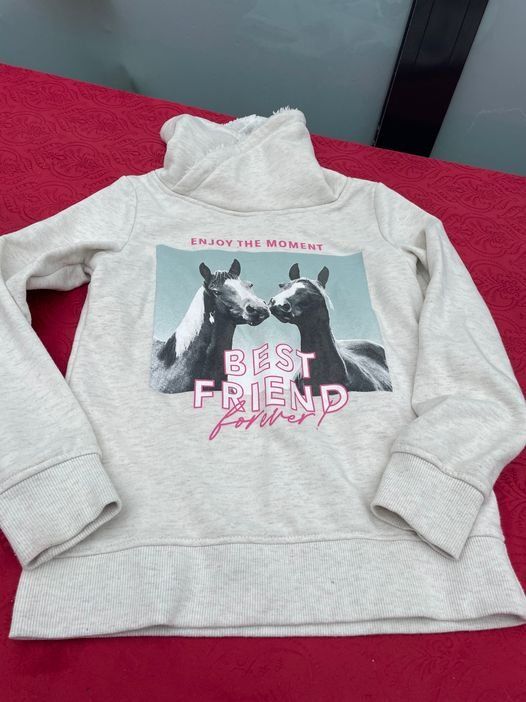 Maglioni & Felpe: Mädchen Pullover gefüttert mit Pferden pageone young 146/152 – Usato da Bergdietikon venduto da antovale