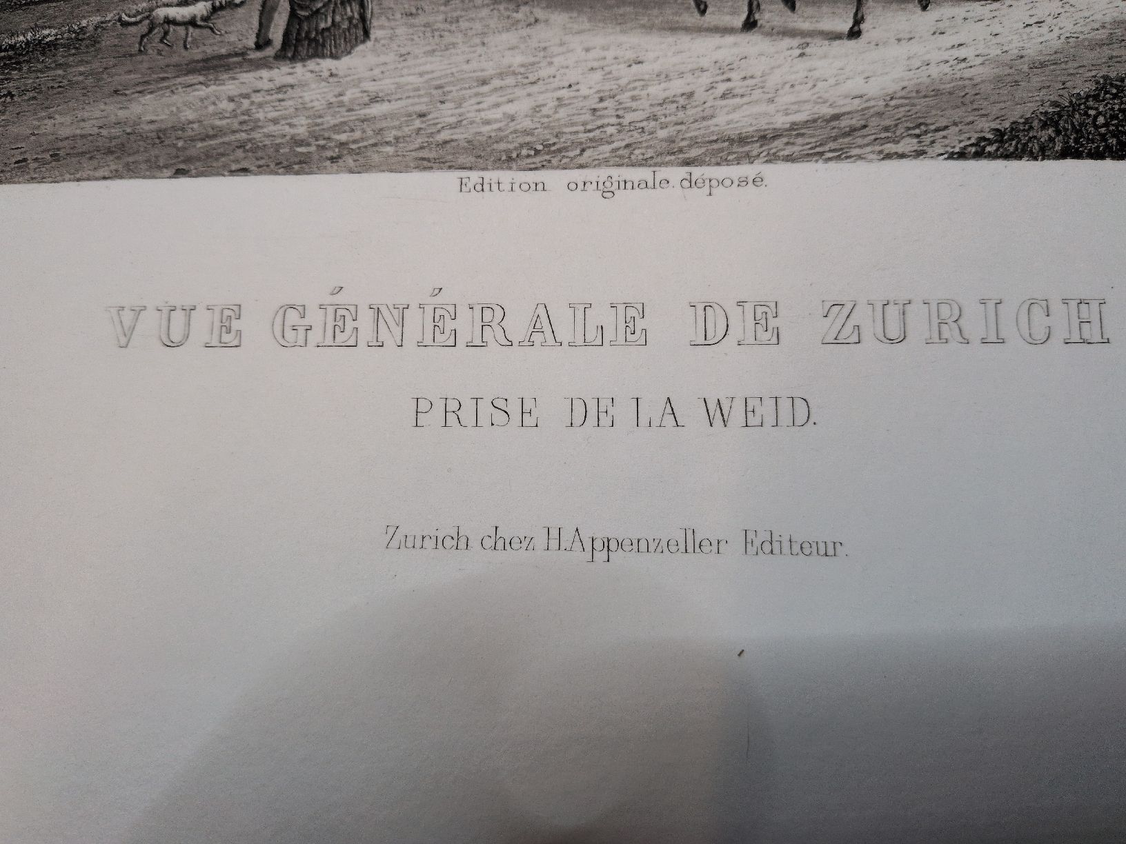 Zürich von der Waid - Gravure H. Siegfried 255/400 (Gebraucht) in ...