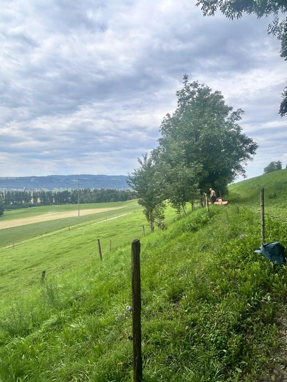 Honig »Robinienhonig« Aus Main-Tauber-Kreis Von Hildinger Honig Leena