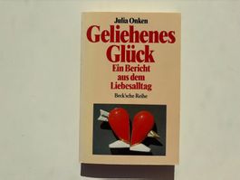 Buch Julia Onken Geliehenes Glück Roman