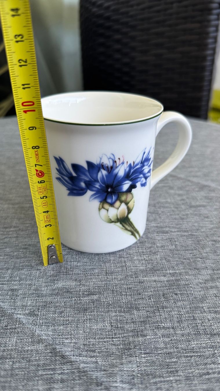 Villeroy & Boch Piatti: Villeroy Boch Tasse New – Nuovo (secondo la descrizione) da Zürich venduto da Privat4444 4