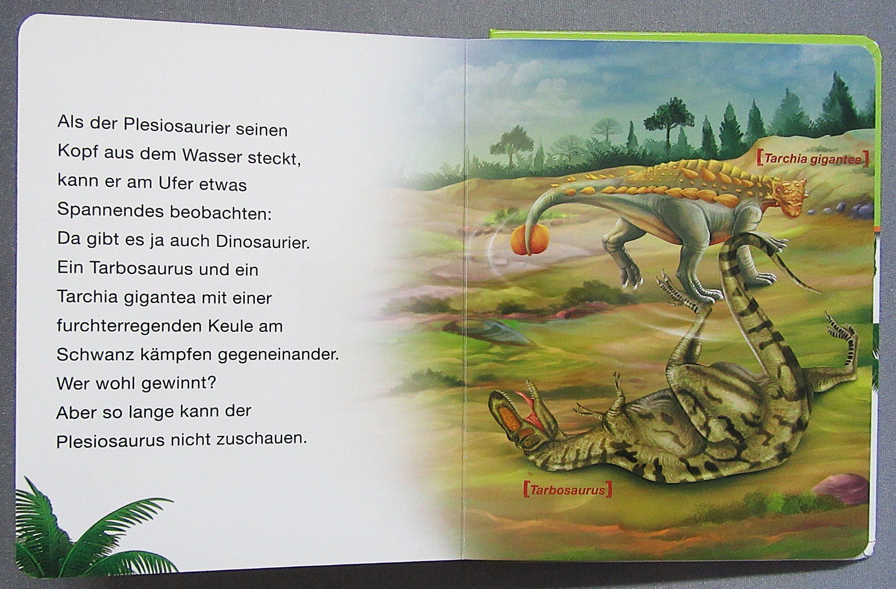 Bücher: Dinosaurier - Dinostarkes Vorlesebuch - Kindersachbuch – Gebraucht aus Auenstein von Padabimbim 7