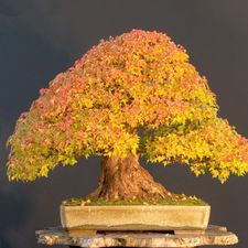 Profile image of longvalley49