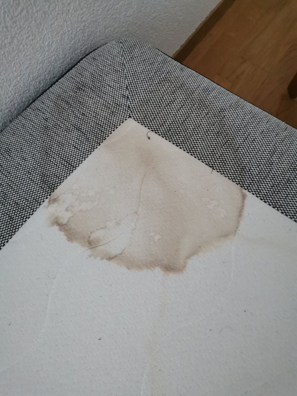 Sofas: Bettsofa – Gebraucht aus Rüfenacht BE von Sascha3075 3