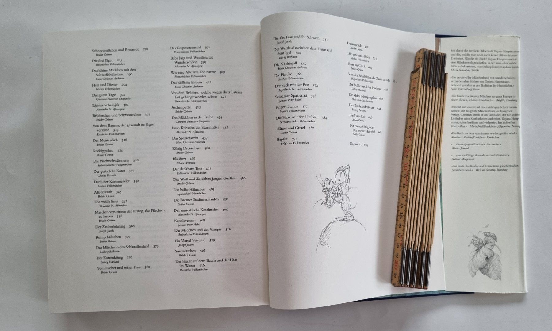 Libri: Das grosse Märchenbuch von Christian Strich – Usato da Opfikon venduto da Diversamente 5