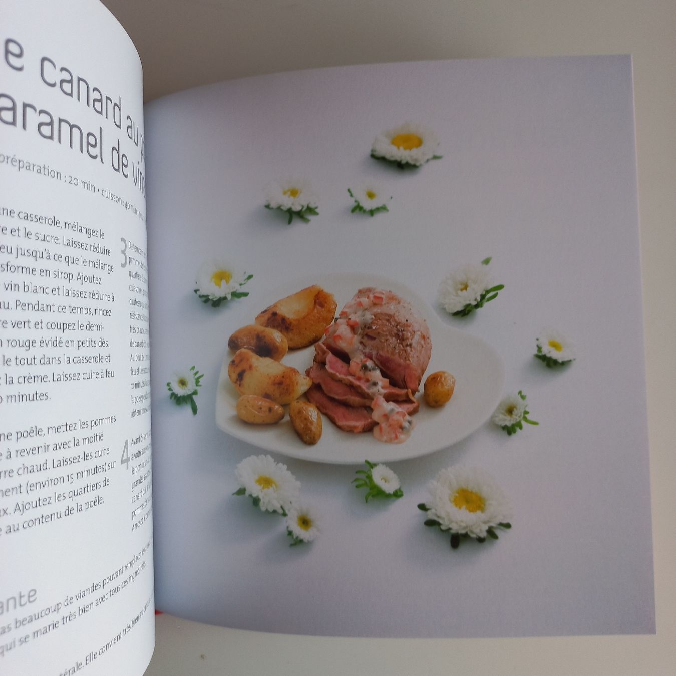 Libri: Dîners romantiques - Livre de cuisine – Nuovo (secondo la descrizione) da Dompierre FR venduto da fat_xth5 5