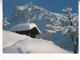 Wetterhorn 1994
