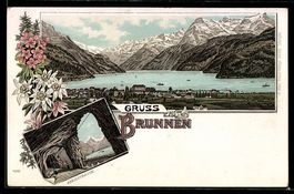 Lithographie Brunnen, Panorama mit See und Bergen, Axenstras