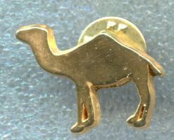 CAMEL  