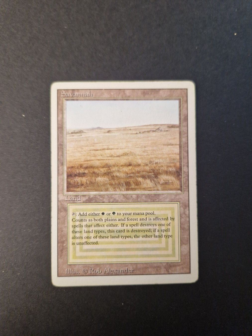 Magic The Gathering Carte collezionabili: MTG DUAL Savannah revised Doppelland Englisch – Usato da Thun venduto da Redjoker