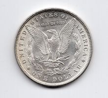 (216) USA, 1 Dollar 1881, top stgl