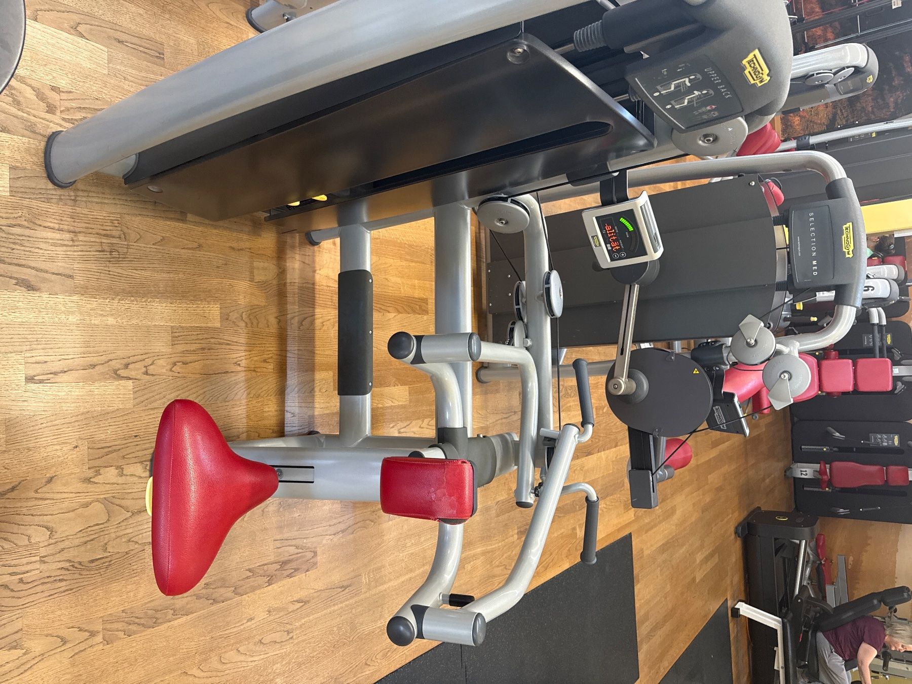Technogym Vélos d'appartement: Technogym Upper Back - Oberer Rückentrainer - 300VB – D'occasion à Mettmenstetten par Nils_Gut_GZG