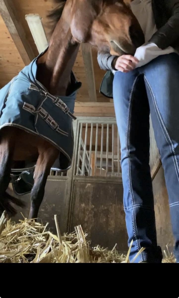Felix Bühler Pantaloni: Jeans Reithose: Marke Equilibre – Usato da Ermatingen venduto da mai_wg5m 3