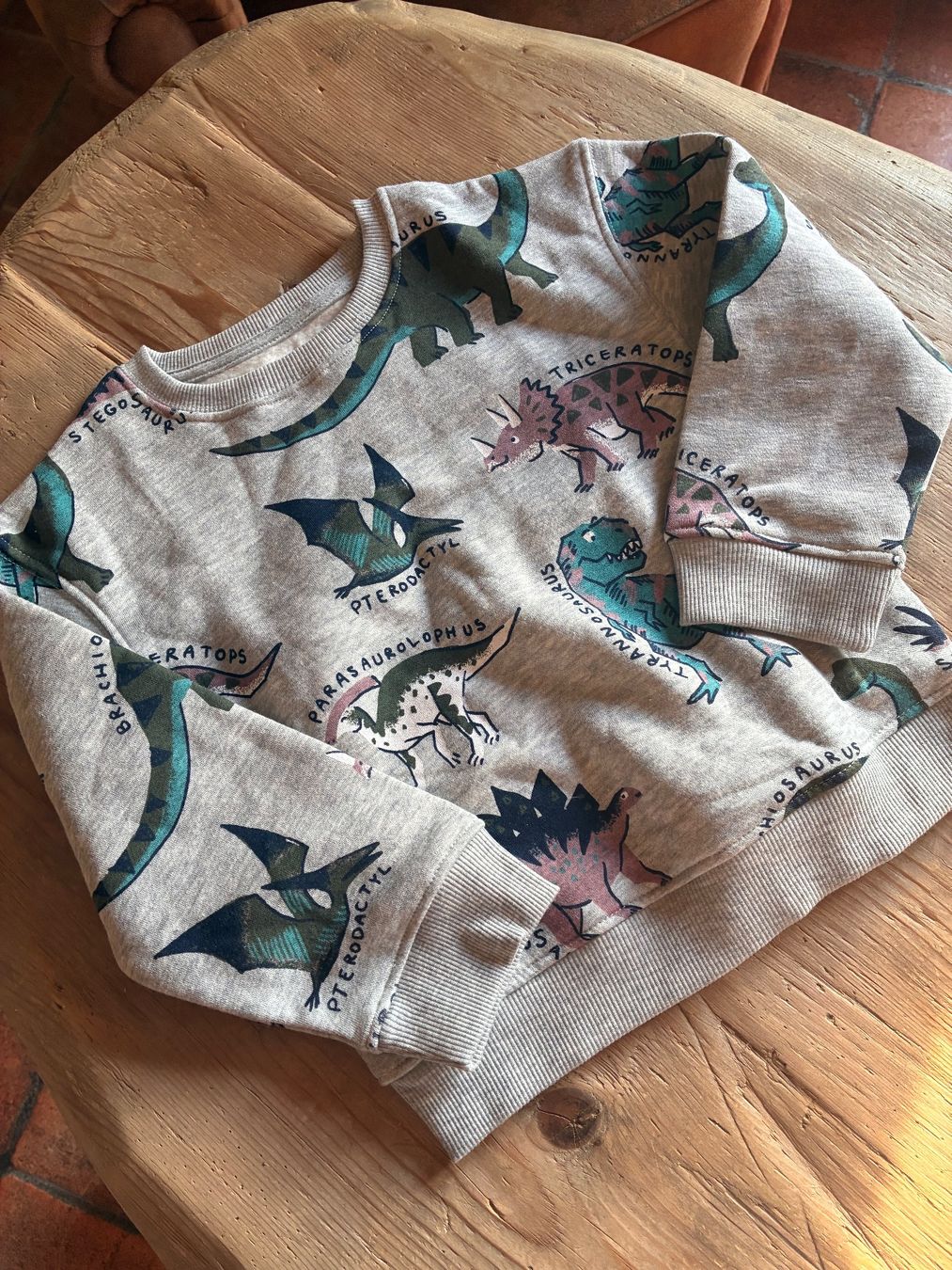 Maglioni & Felpe: Toller Pullover Gr. 110, Neu – Nuovo (secondo la descrizione) da richterswil venduto da lunamarie001