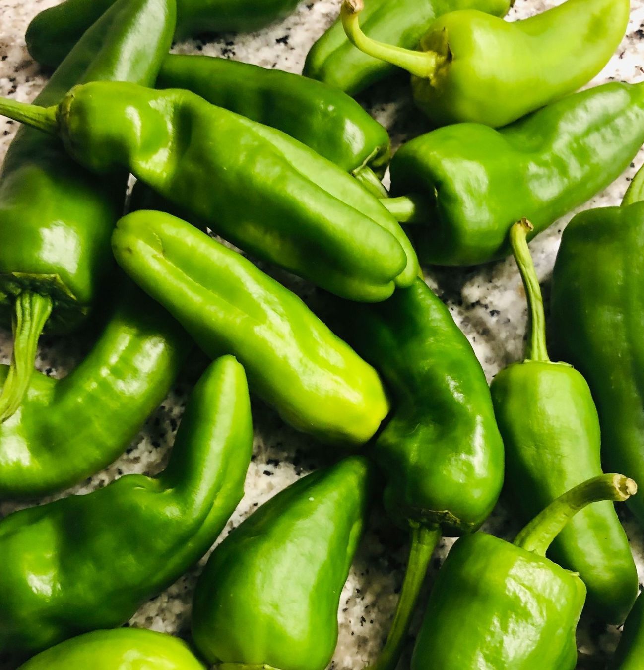 Pflanzen & Samen: 100 SAMEN GRAINES‪ SEMI "Pimiento del Padron" – Neu und originalverpackt aus Rovio von POSITIFFARTandPLANTS 2