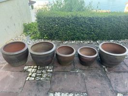 Blumentöpfe 