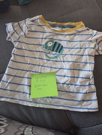 T-Shirt Gr. 98/104 mit Chamäleon von Impidimpi