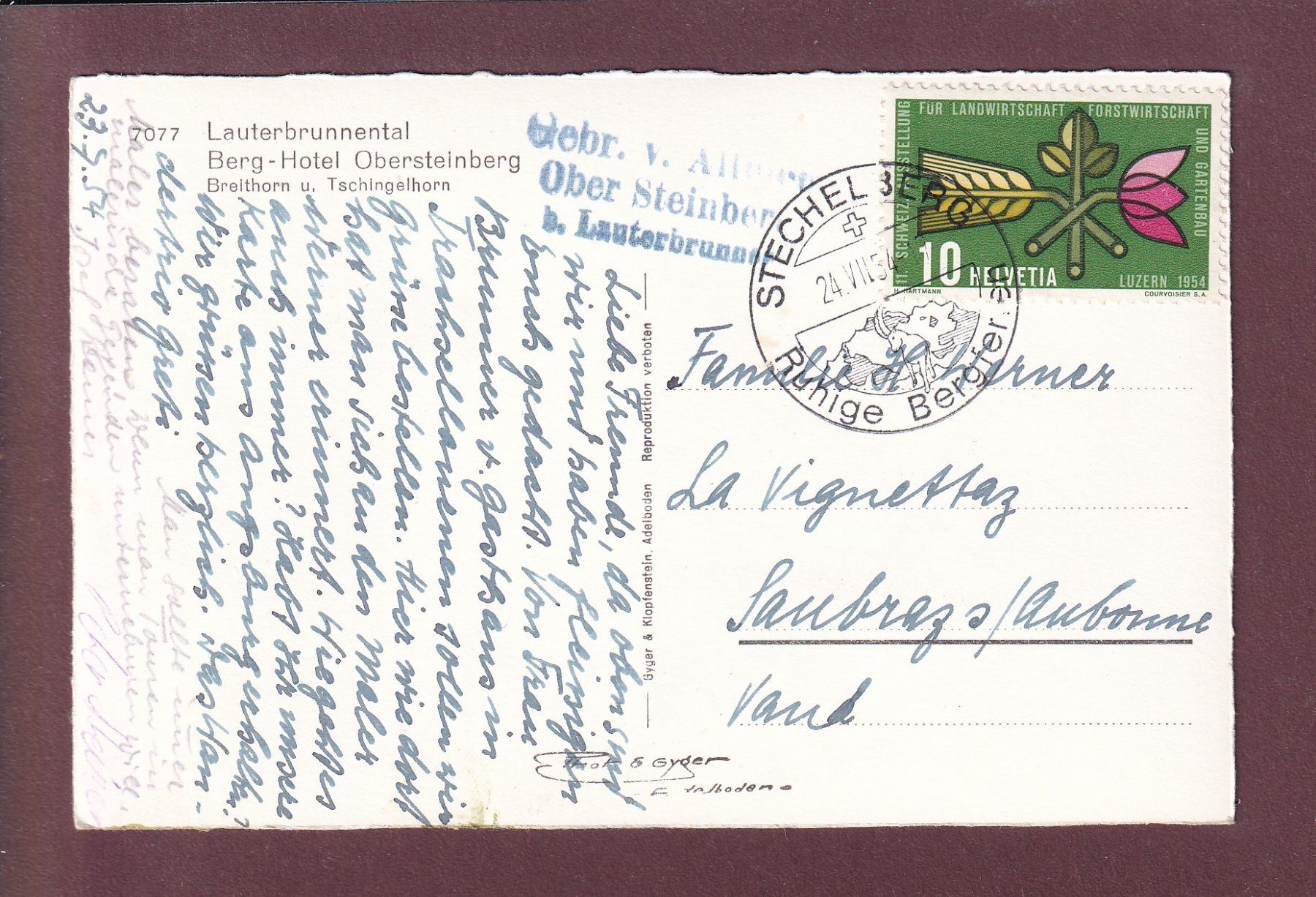 Cartes postales: Berg-Hotel OBERSTEINBERG - 1954 – D'occasion à Pully par nicecards 1