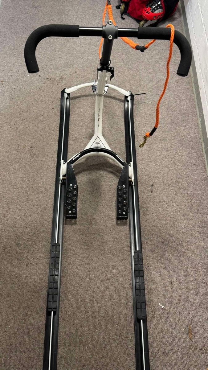 Slitta: Tretschlitten KICKSPARK MAX – Usato da Burgdorf venduto da Achilles_Che 2