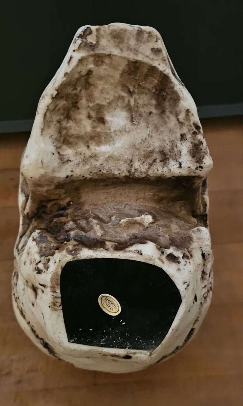 Tutte le decorazioni: Deko Totenkopf mit Hörnern – Usato da Worben venduto da Quest 3